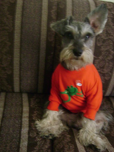 Este es mi hermoso Ruffo Este es mi hermoso Ruffo