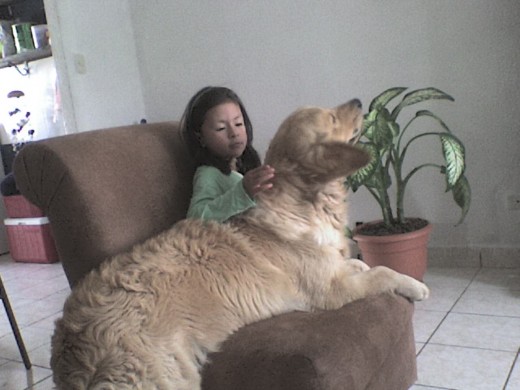 miren esto tan tierno... hay Dios que perrototote... cada dìa màs grande... 