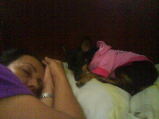 por ultimo con mi anwela durmiendoo que es lo que mas me gusta hacer!! les cuento ke cuando llegue a mi ksita mi anwelita no me queria mucho pero luegooo em conocioo y me cojioo un cariño grandisimo tanto asii que me defiendee cuandoo mi anweloo o mi mami me regaña x mis travesuras!!