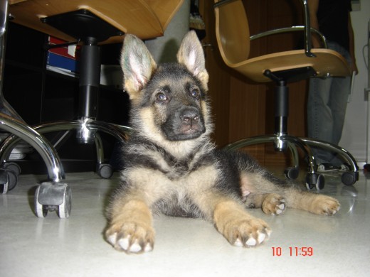 Me lo comooooo!!! Me lo comooooo!!!