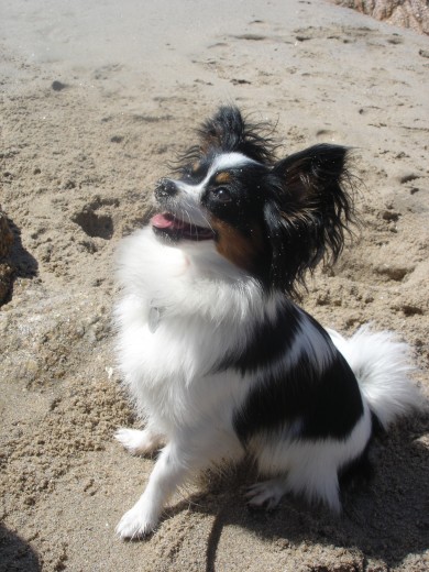 En la playa