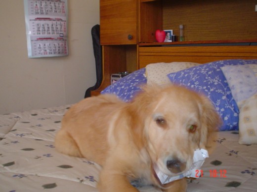 MI BEBE EN MOMENTOS DE REGALONEO...TOMA TODO LO QUE PILLA....!!!! MI BEBE EN MOMENTOS DE REGALONEO...TOMA TODO LO QUE PILLA....!!!!