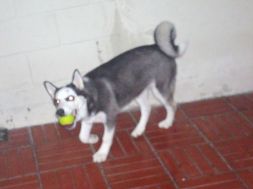 jugando 