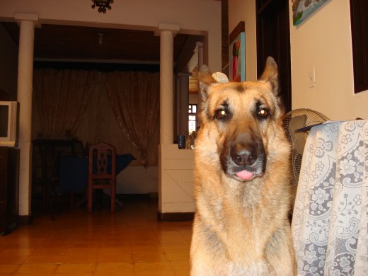 Tomada al interior de la casa, en un gesto algo raro pues quedo con la lengua afuera.