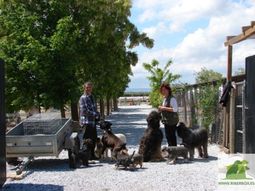 Entrada de la residencia con los propietarios y algunos de sus perros.