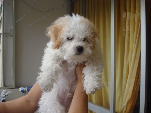 Soy cariñoso.tengo 4 meses