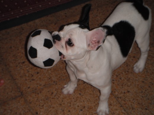 Con mi Pelota favorita