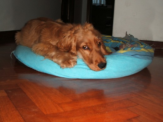 Aqui esta mi niña bonita Aqui esta mi niña bonita