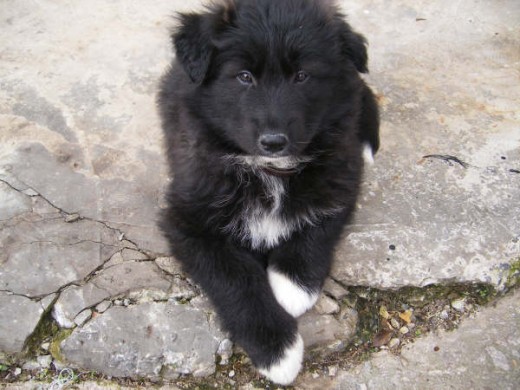 aqui tiene 2 meses y medio