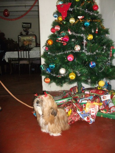 donde mi abuelita en navidad