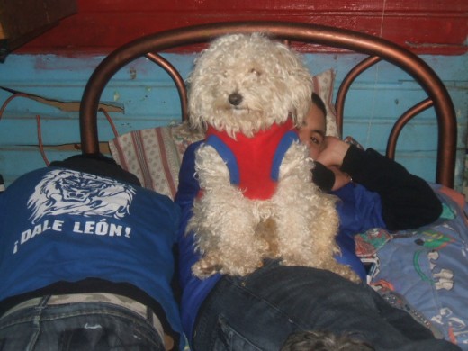regaloniando con su tio y primo regaloniando con su tio y primo
