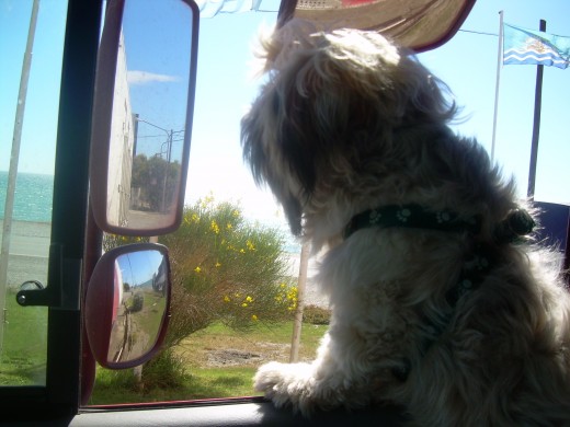 MIRANDO POR  LA VENTANA DEL CAMION