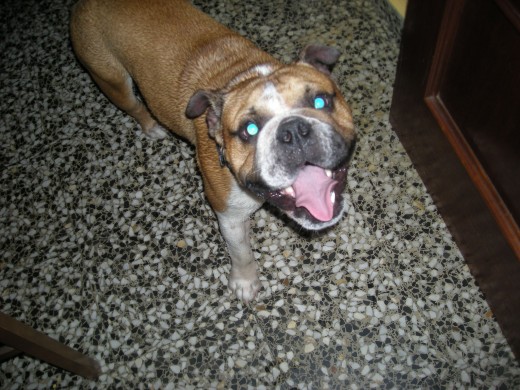 aquí estaba jugando conel aquí estaba jugando conel