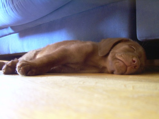 Con 2 meses Con 2 meses
