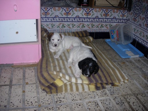 TULY CON SU HERMANA