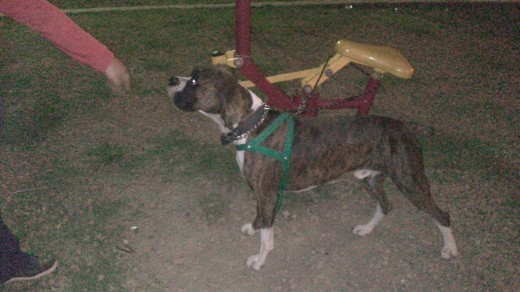 caminata diaria nocturna