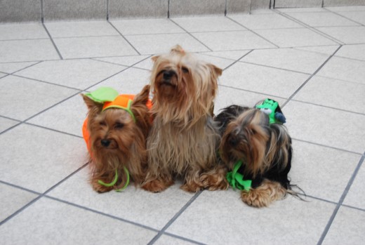 mis nenes