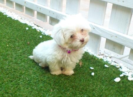Mi deisy,super linda, lista y traviesa!!