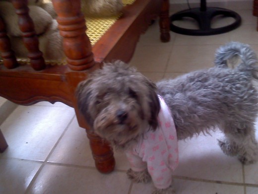 Estta peciossaa,,, Lafotoo  lo dice toodoo
i lo mejorr,, SOLTERIITHA
