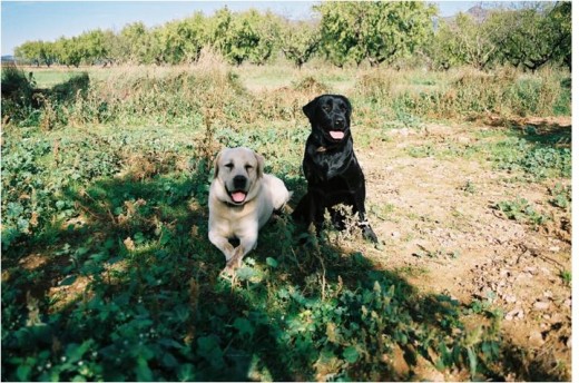 estos son mis padres, Oto y Zoe