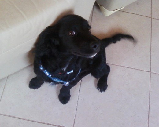 sale tan rre lindo 
muaxzzzzz