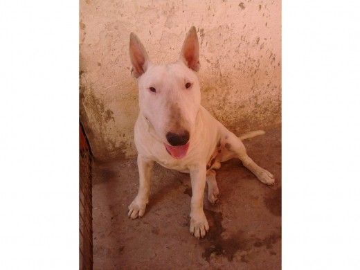 Oddie esta buscando novia ¡¡¡¡¡