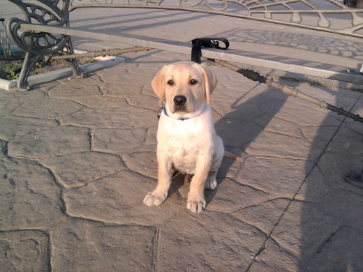 Tomando el sol en el paseo maritimo