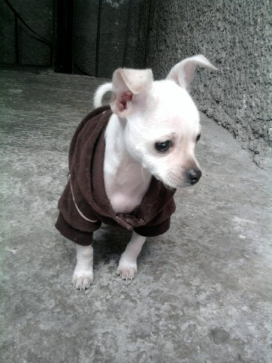 PUES QUI ESTA PERO CON SU SWETER AFUERZA SE LO PUSE PERO LUEGO SE LO QUITQ AQUI ESTABA PENSANDO HAY ME CHOCA ESTE SWETER JAJAJ PUES QUI ESTA PERO CON SU SWETER AFUERZA SE LO PUSE PERO LUEGO SE LO QUITQ AQUI ESTABA PENSANDO HAY ME CHOCA ESTE SWETER JAJAJ