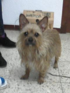 hola :) hola :)