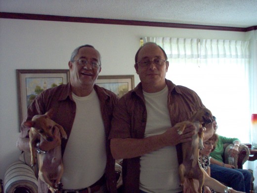 Ellas so Tabata y Kiara  las Chihuahuas ,son Hermanas de la misma camada !!