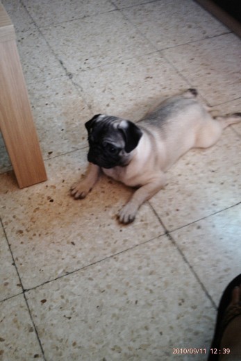 a q esta descansando de venir de la calle jajaja