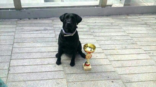 Mejor hembra del grupo 8