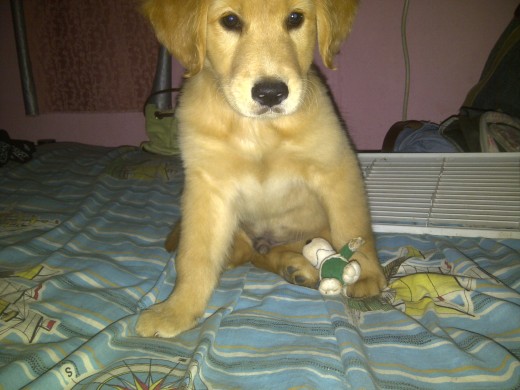 cuchi actualmente
