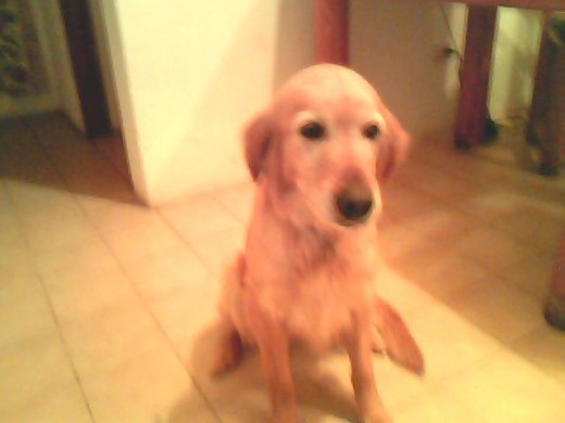 aki en la casa posando pa la pick aki en la casa posando pa la pick