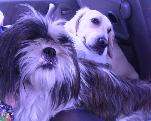 Nora y Rita en el coche! que guapaas!:D