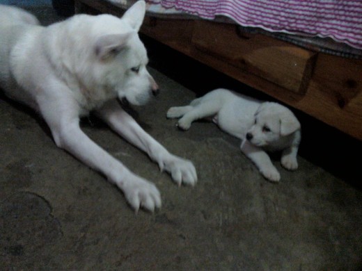 kiara y su hijo !!