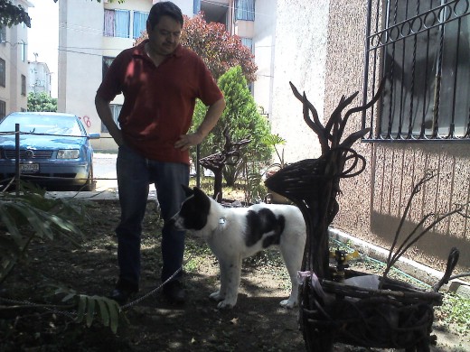 Hachi 4 meses 1/2 junto con mi papa