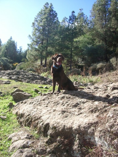 Haciendo senderismo cruce de Tejeda-Teror.