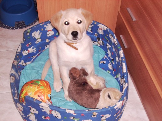 Reegan con 2 meses y medio y sus juguetes