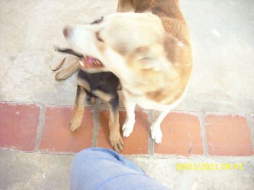MI MAMÁ QUITO ESTA FOTO... =D
NO SALIO TAN BIEN... =/