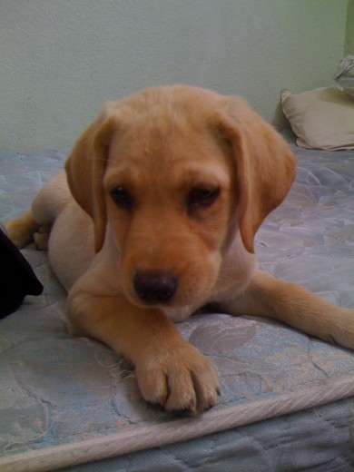 Bukys mirando su proxima presa!! Bukys mirando su proxima presa!!