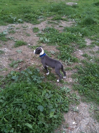 NaNo con 3 meses recien cumplidos