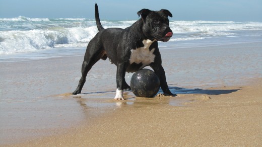 Tolo en la playa de el Palmar. Con 2 años.