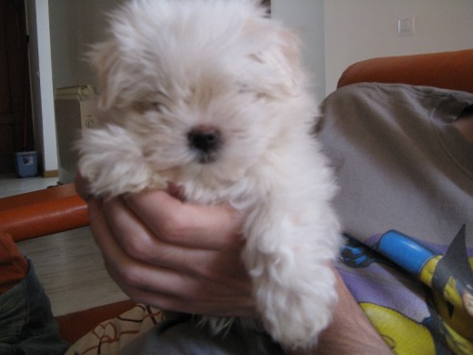 Con 2 meses 