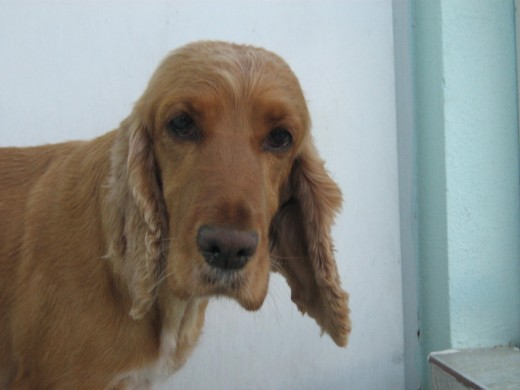 Lila toda peladita y posando para la foto Lila toda peladita y posando para la foto