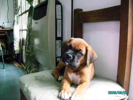 Foto de cuando era muy chiquito.