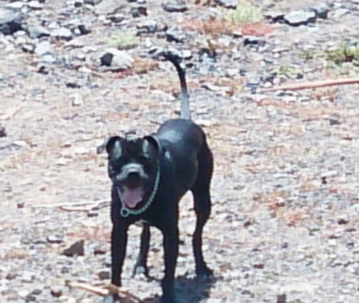 De paseo