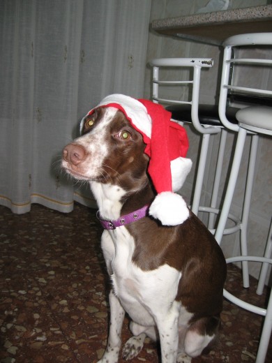 bufy les desea..feliz navidad y prospero año nuevo... bufy les desea..feliz navidad y prospero año nuevo...