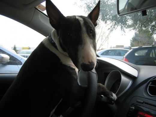 saika en el coche