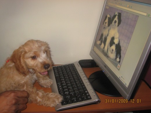 jugando en la computadora.